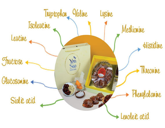 Giá trị dinh dưỡng và công dụng của Tổ Yến